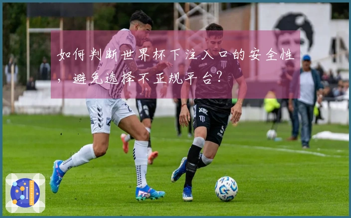如何判断世界杯下注入口的安全性,避免选择不正规平台?